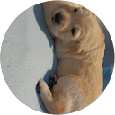 Jan Maron profile picture